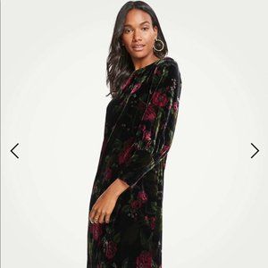 Ann Taylor Velvet Floral Long Sleeve Dress - Size 4